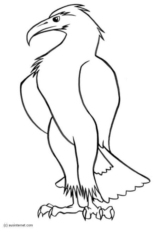 Dibujo para colorear Aguila